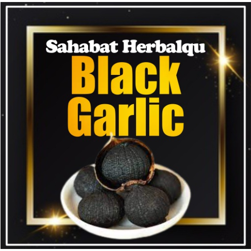 BAWANG HITAM MANIS BAWANG FERMENTASI BAWANG PUTIH BAWANG BLACK GARLIC BAWANG HITAM TUNGGAL BAWANG LANANG BAWANG FERMENTASI BAWANG GARLIC HITAM