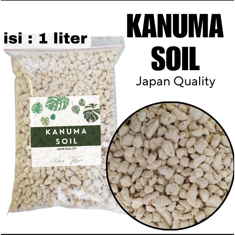 Kanuma Soil - Media Tanam Premium Untuk Tanaman Hias Kaktus Sekulen Aroid aglonema