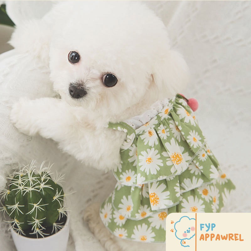 Summer Dress Baju Hewan Anjing Kucing Cantik Cute Flowery Bunga Pom Resort Wear Ruffle