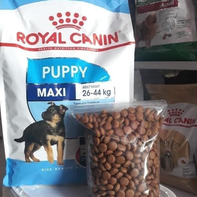 Makanan Anjing Dewasa Royal Canin Maxi Puppy Dryfood Repacking 1kg