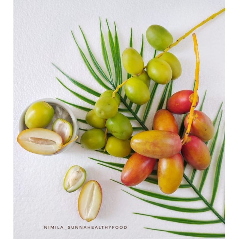 

kurma muda promil
