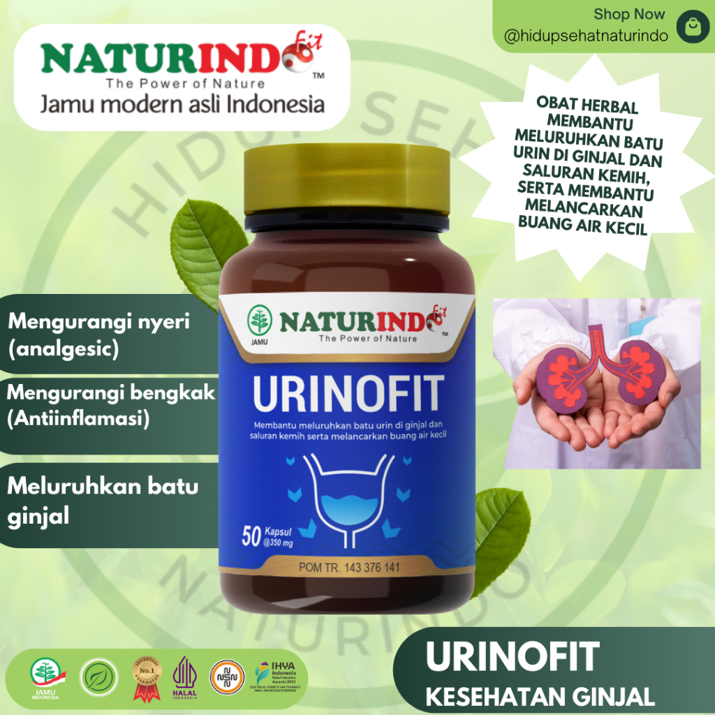 Obat Herbal Naturindo Urinofit Peluruh Batu Ginjal Prostat