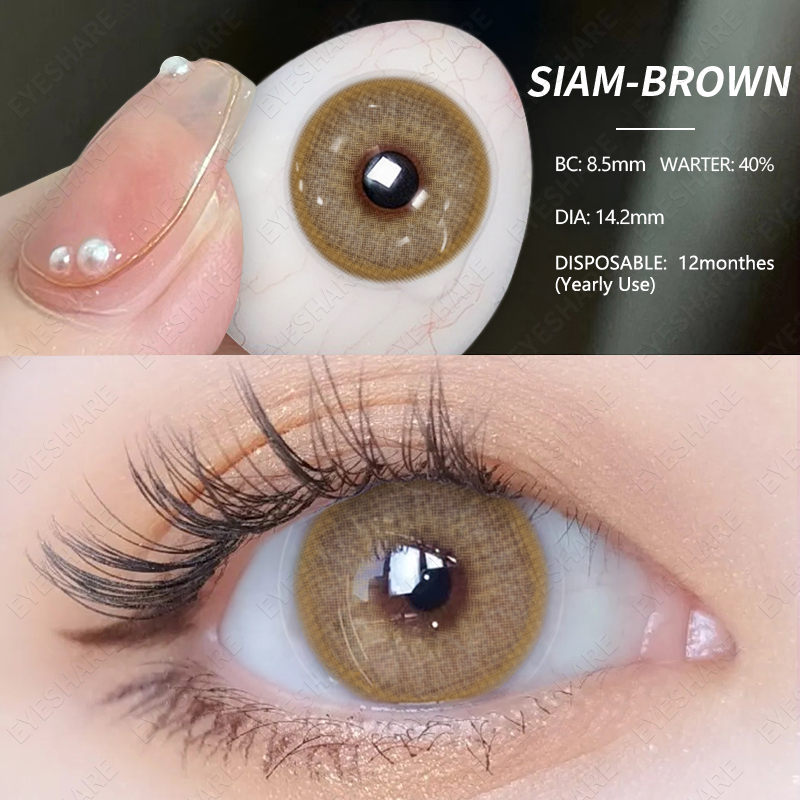 softlens SIAM Brown 1pasang lensa kontak warna14.2MM softlen mata korea gray normal soflen