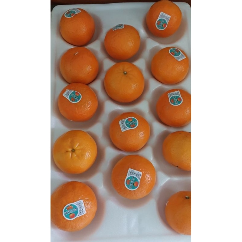 

Jeruk Wokam Mandarin