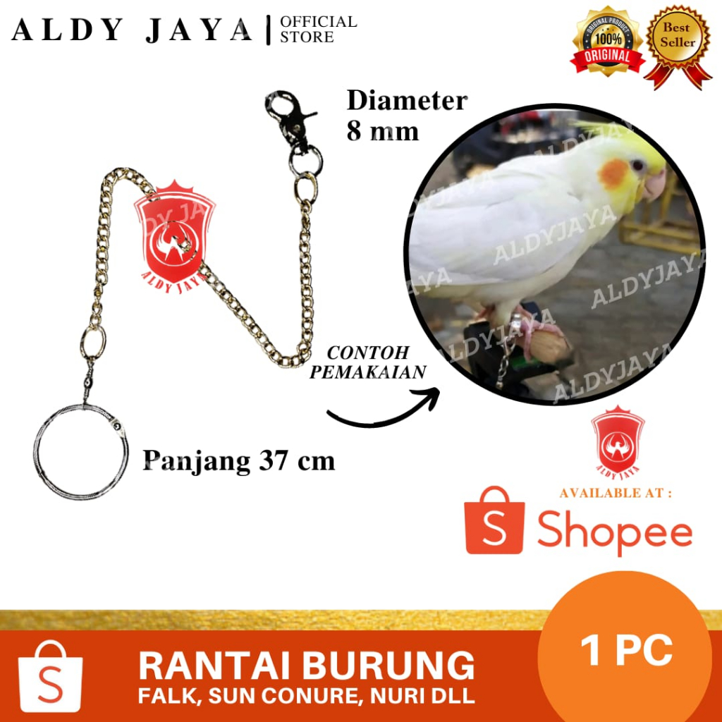 ALDY JAYA - RANTAI BURUNG FALK NURI DLL