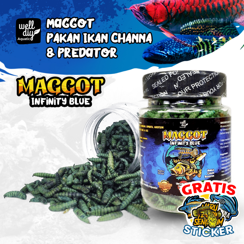 Maggot Kering BSF Pakan Ikan Channa Predator Louhan Arwana Oscar Pbas