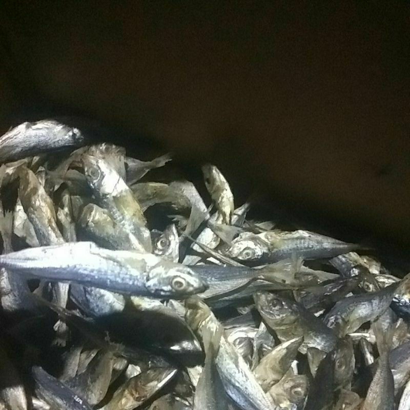 

klotok/ikan asin
