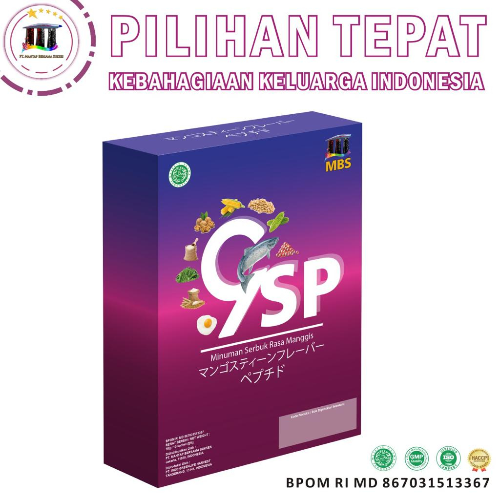 

MBS 9 SP MINUMAN RASA MANGGIS ORIGINAL --- 1 BOX