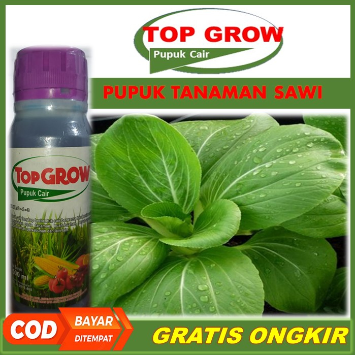 TOP GROW Pelebat Daun Sawi Terbaik Tahan di Musim Hujan - Pupuk NPK Cair Pelebat Sawi, Pupuk Organik