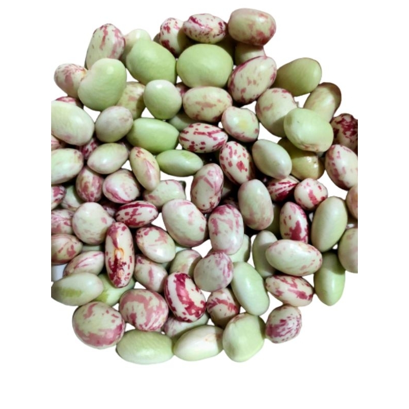 

biji kacang 250 gram