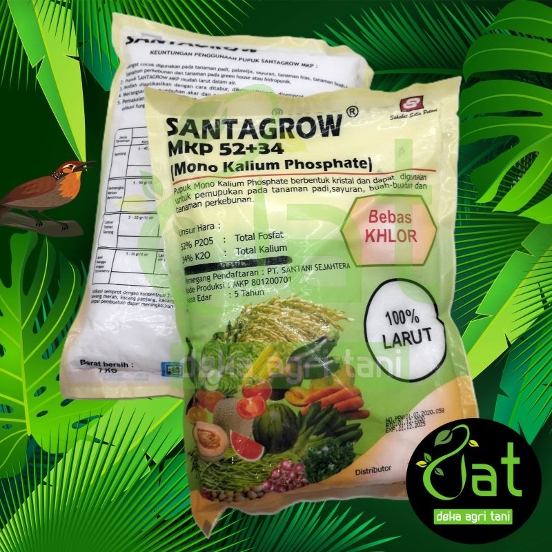 PUPUK MKP 52+34 SANTAGROW  1KG bebes KHLOR