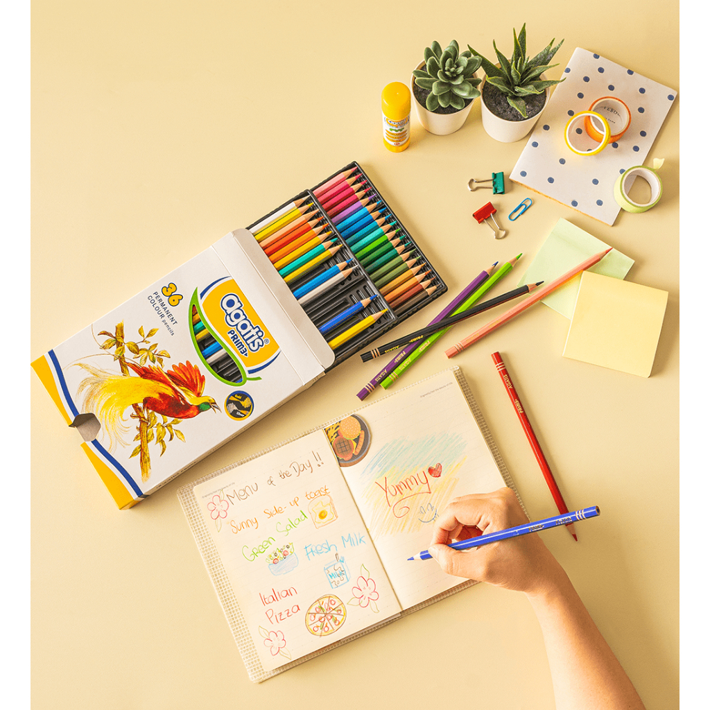 

Agatis - Pensil Warna Prime 36 Warna