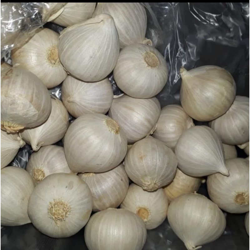

Bawang Putih Tunggal Super / Bawang putih Lanang 1kg