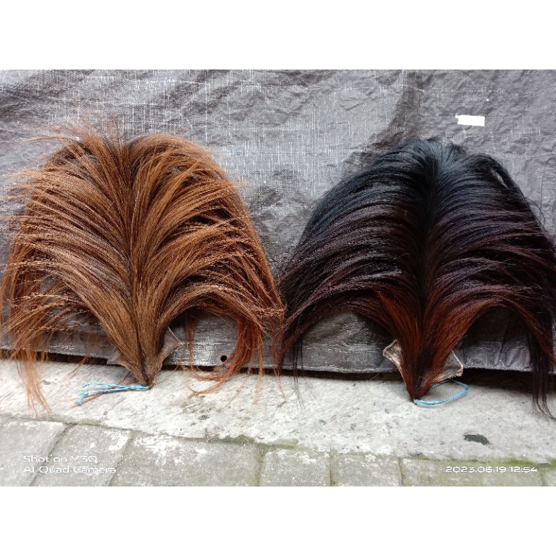 ekor kuda buntut jaran