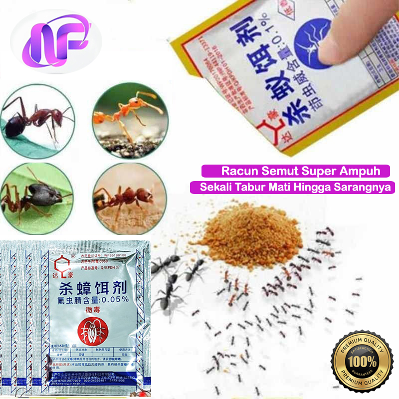 Racun Kecoa Semut Rayap Kering Mati Pembasmi Serangga Super Ampuh Tanpa Umpan