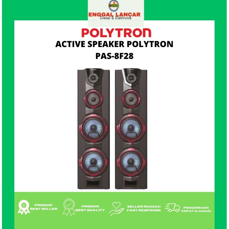 ACTIVE SPEAKER POLYTRON PAS -8F28