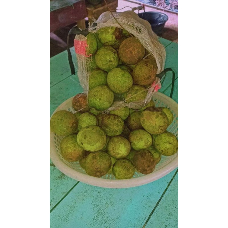 

Buah kemantan/buah khas kalimantan