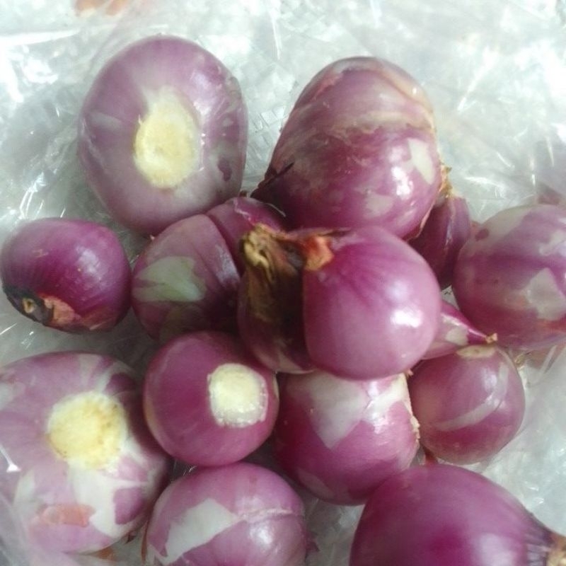 

bawang merah atau brambang kupas 100gr