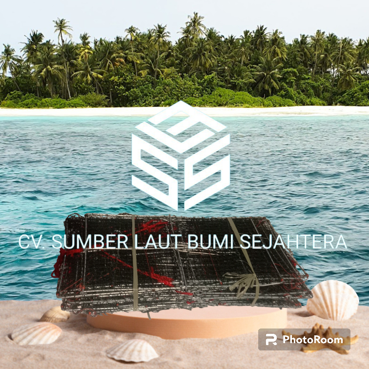 10 Jaring Bubu Kepiting Sentec anti karat ukuran 50x31x18 kawat 3.80 tahan 4 tahun