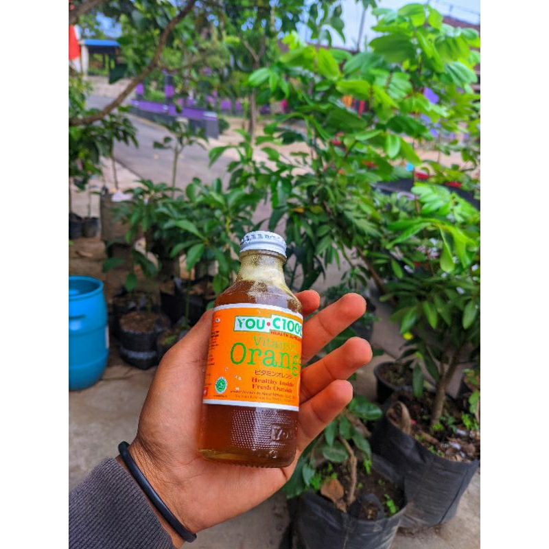 

madu klanceng asli 200 gram isi 4 botol