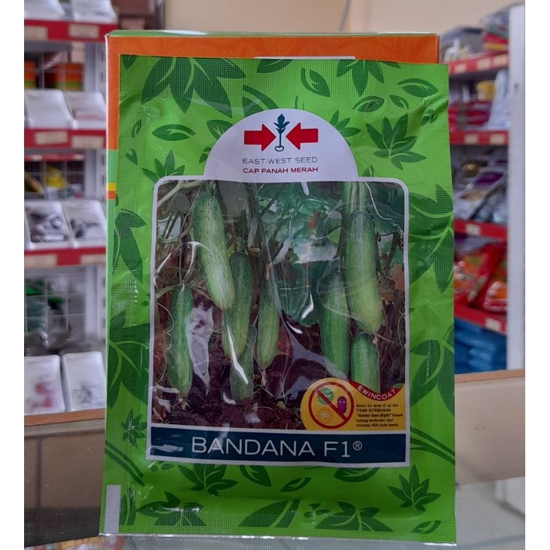 Timun Bandana 800 Butir