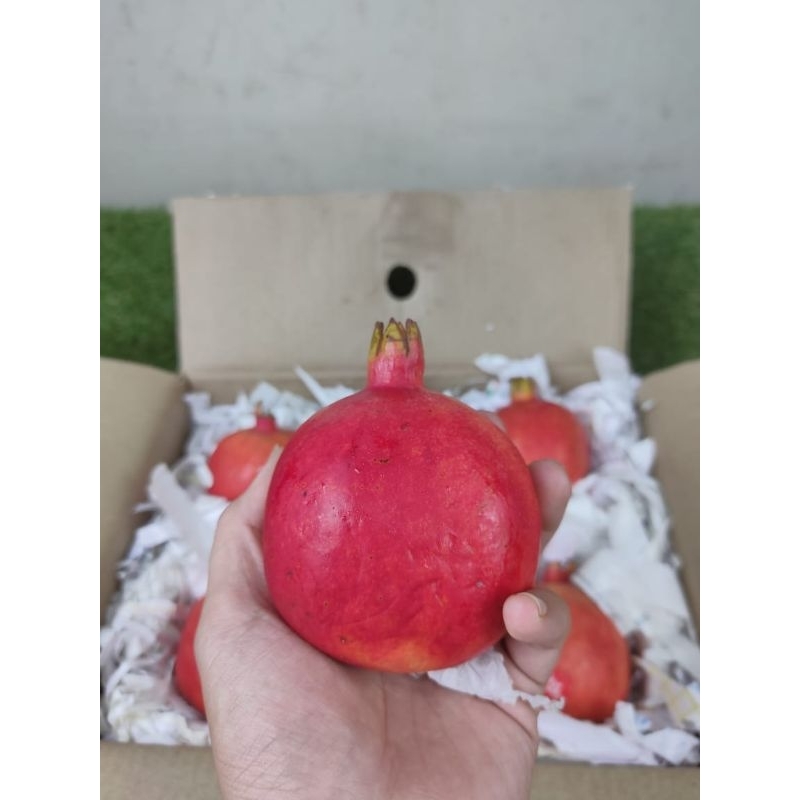 

buah delima import /dus