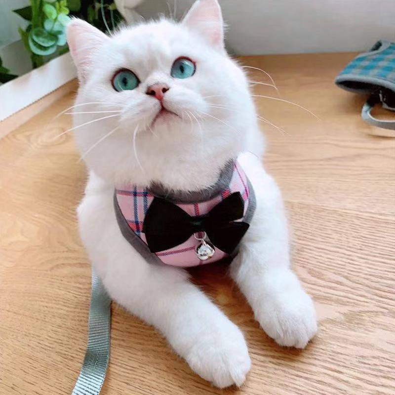 Harness Baju Kucing Tali Kucing Kelinci Rompi Anjing Hewan Peliharaan Babi Penyesuaian lucu Busur XS L