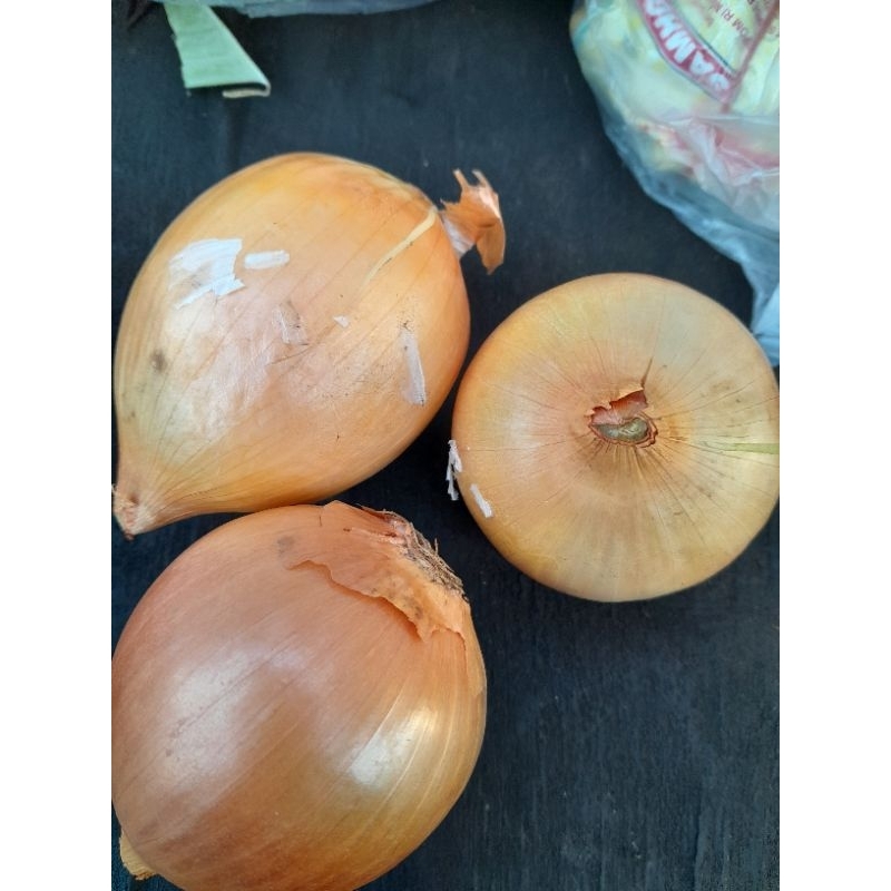 

bawang bombay