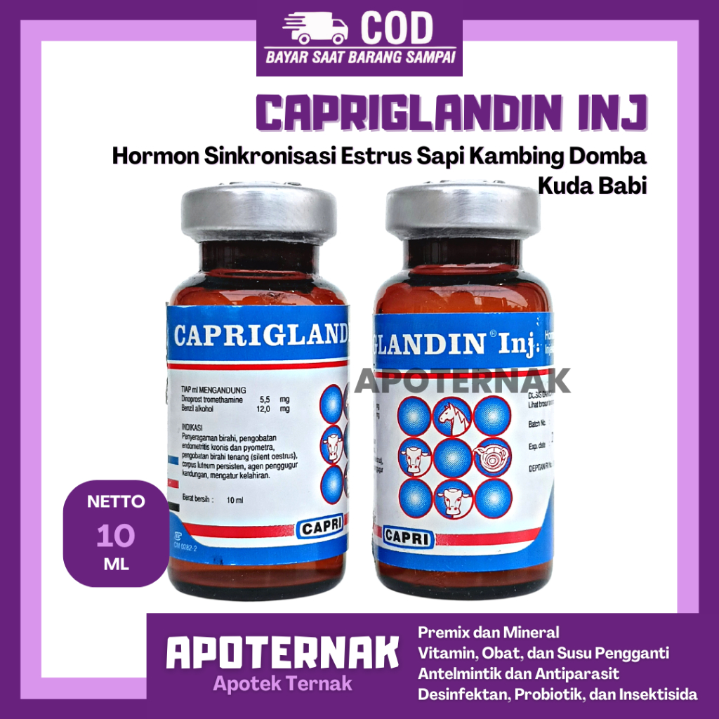 CAPRIGLANDIN Injeksi 10 ml | Hormon Sinkronisasi Estrus Sapi Kambing Domba Kuda Babi