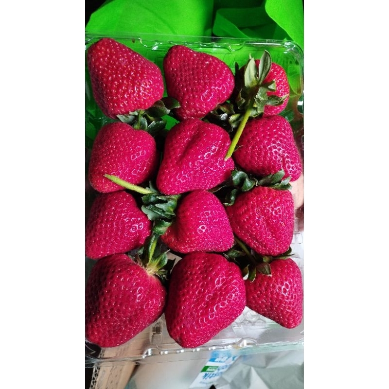 

BUAH STRAWBERRY JUMBO 454 GRAM | BOX