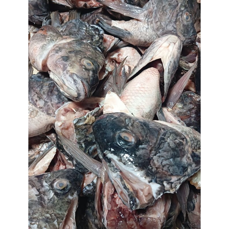 

Kepala Ikan Monja Fresh 1kg