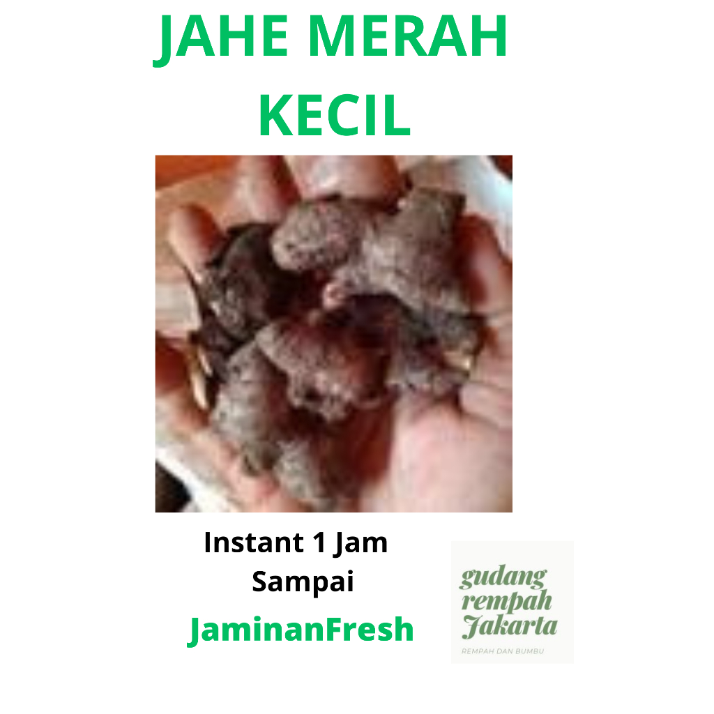 

JAHE MERAH KECIL 1 KILOGRAM