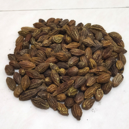 

TERMURAH [ORIGINAL] BIJI JOKELING KERING- 100 GRAM