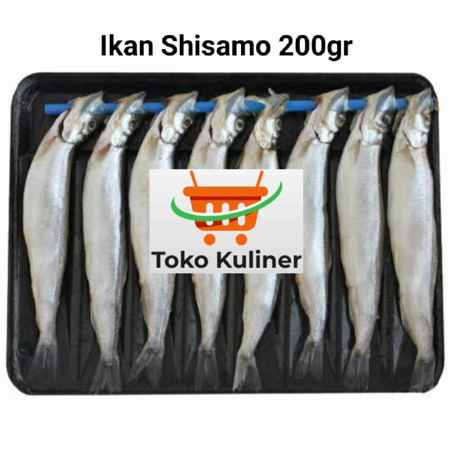 

IKAN SHISAMO TELUR