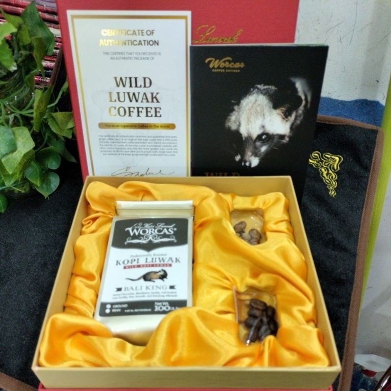 

kopi asli luwak liar 1 box isi 100 gr