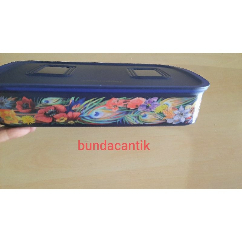 Tupperware MurahBaseline bird