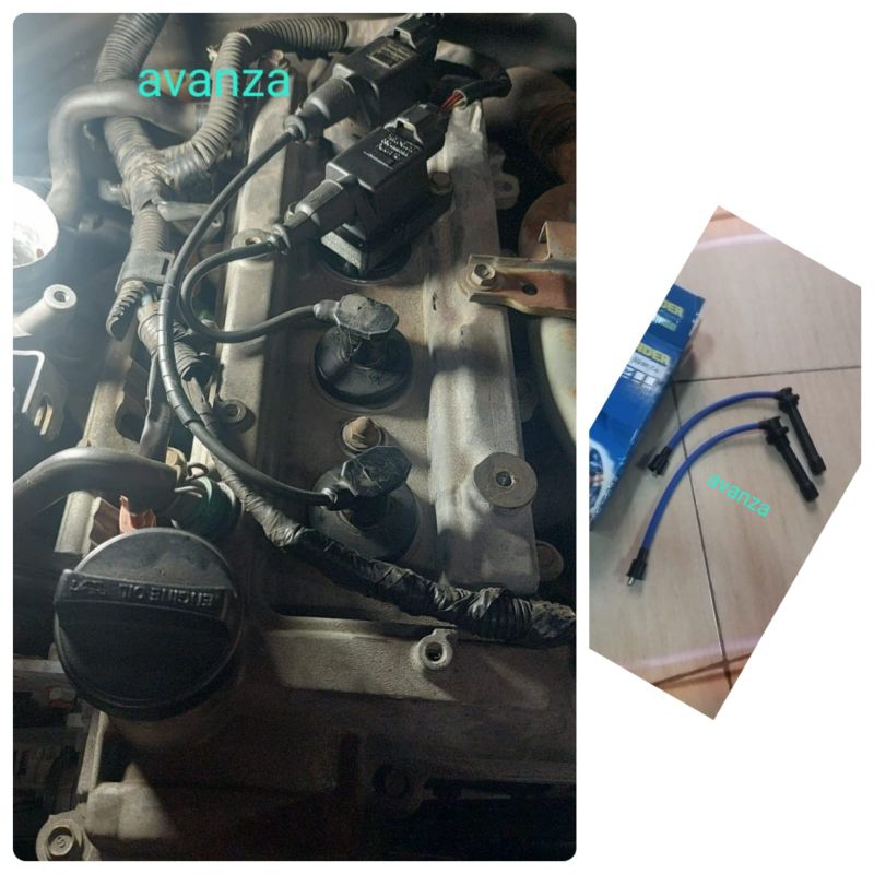 Tali busi mobil avanza