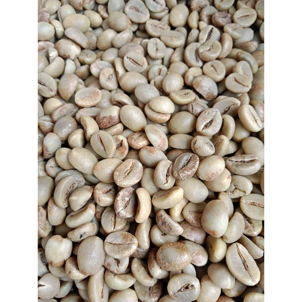 

KOPI GREEN BEAN ROBUSTA DAMPIT GRADE