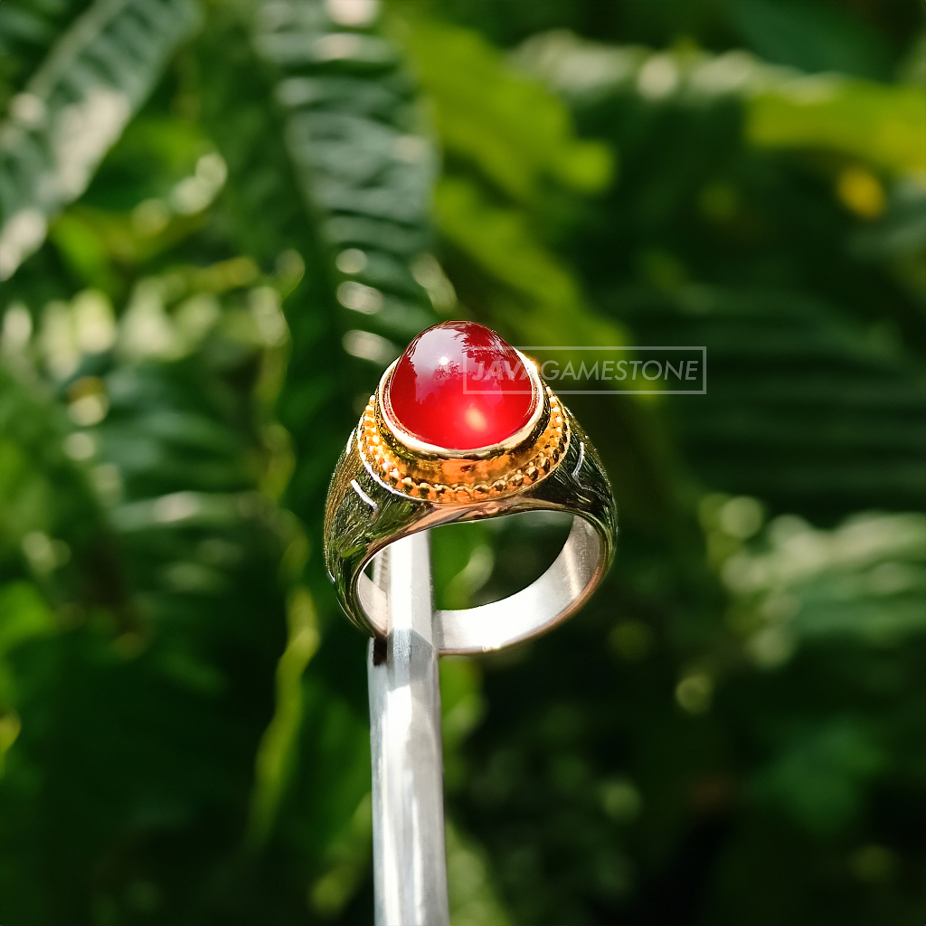 Cincin Batu RED BARON/ Akik Darah