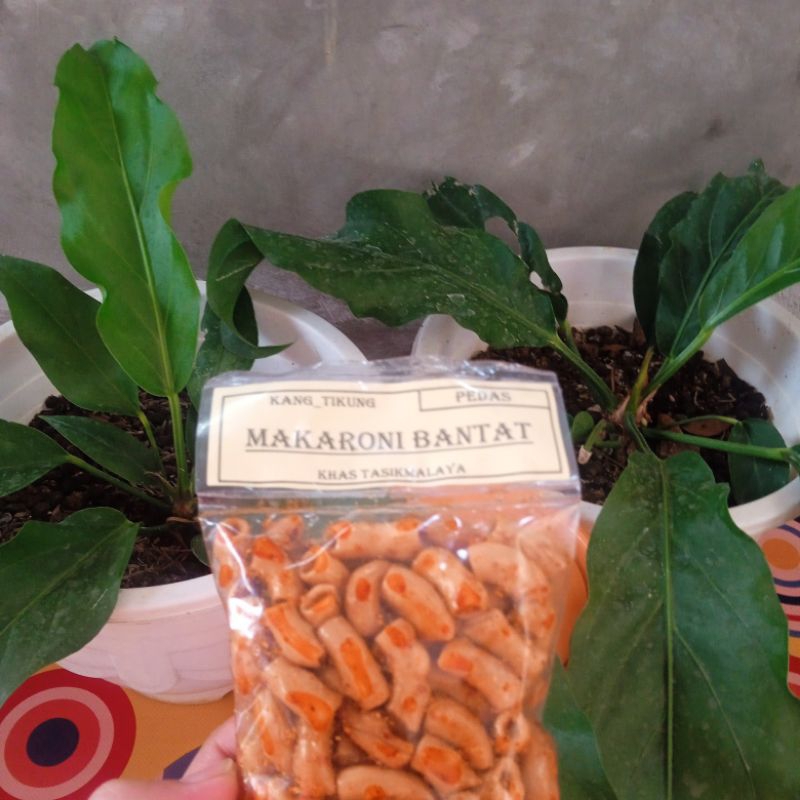 

makaroni bantet