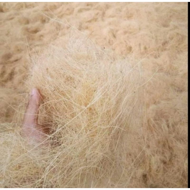 Serat serabut kelapa 1kg serabut kelapa cocofiber