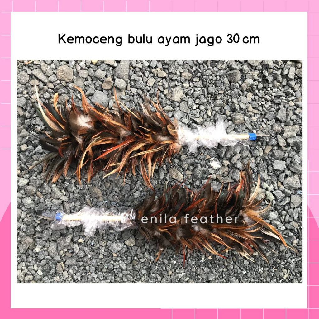 KEMOCENG BULU AYAM JAGO MURAH - KEMOCENG BULU AYAM ASLI PEJANTAN JAGO BANGKOK HALUS - JUAL KEMOCENG 