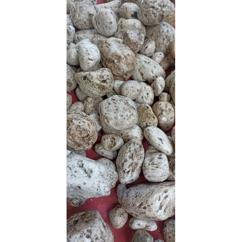 Batu apung
