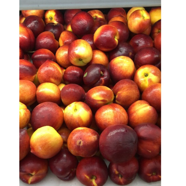 

Buah Nectarine Yellow Fresh 1 Kg