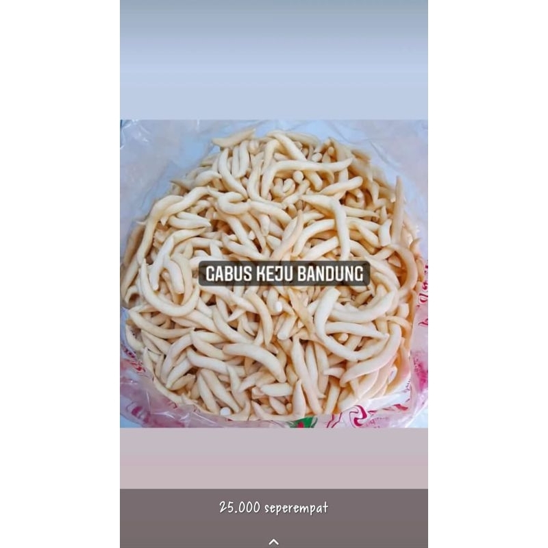 

gabus keju premium