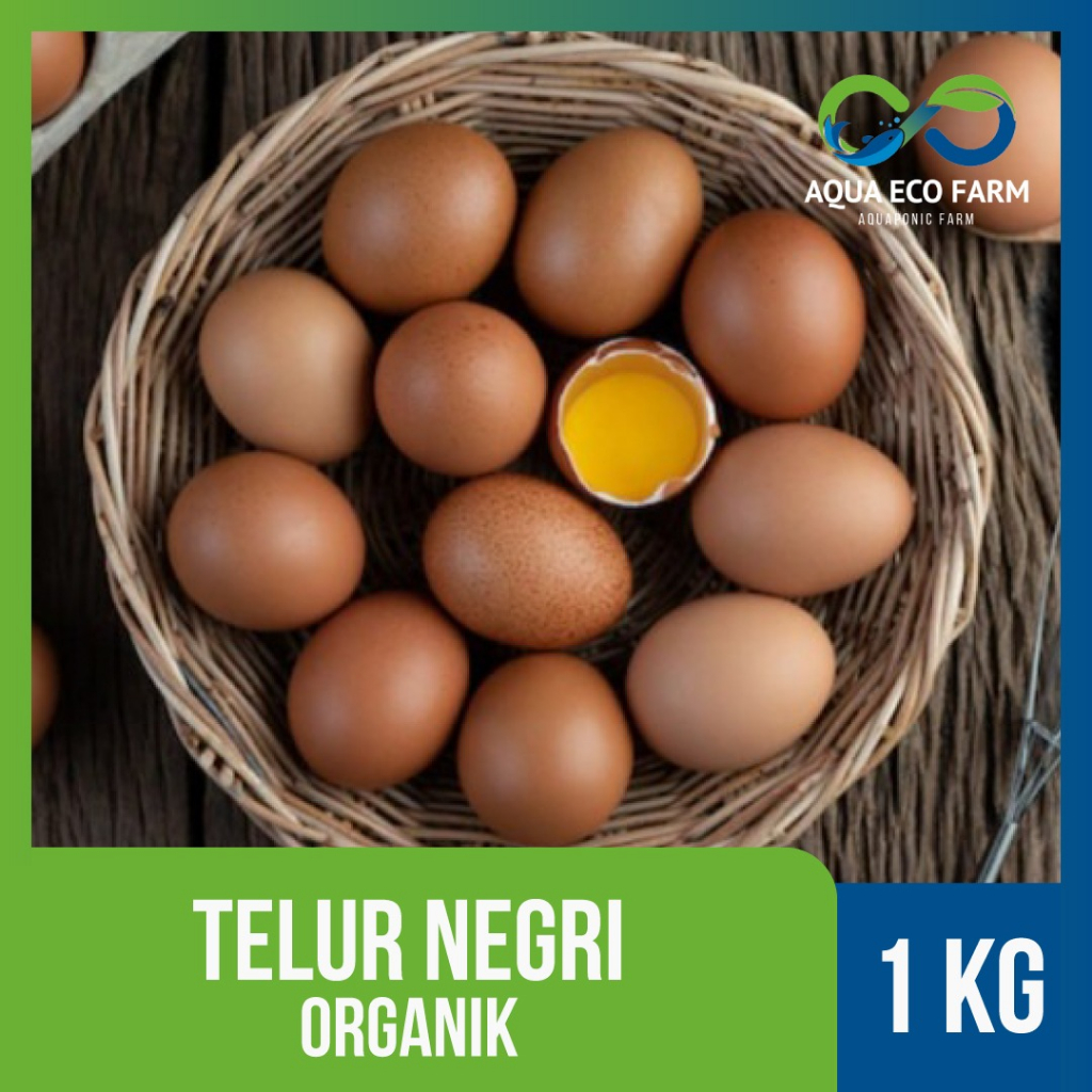 

Telur Organik by AquaEcofarms Bandung kualitas tinggi kuning