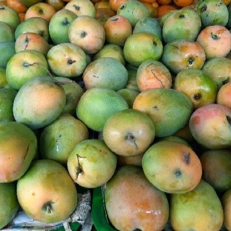 

Mangga Gedong Gincu/500 gr/1 kg