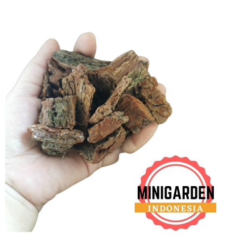 ZAK 6KG KULIT PINUS CACAH media tanam pine bark karung 25kg KERING