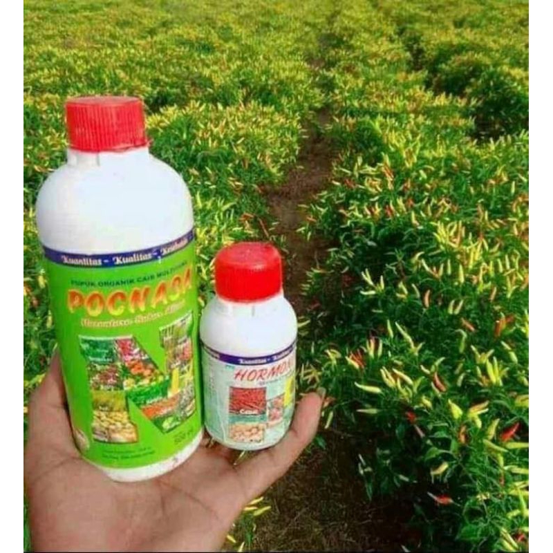 PUPUK CABE PUPUK PELEBAT BUAH CABAI/PAKET PUPUK NASA ORGANIK/HORMONIK/POCNASA