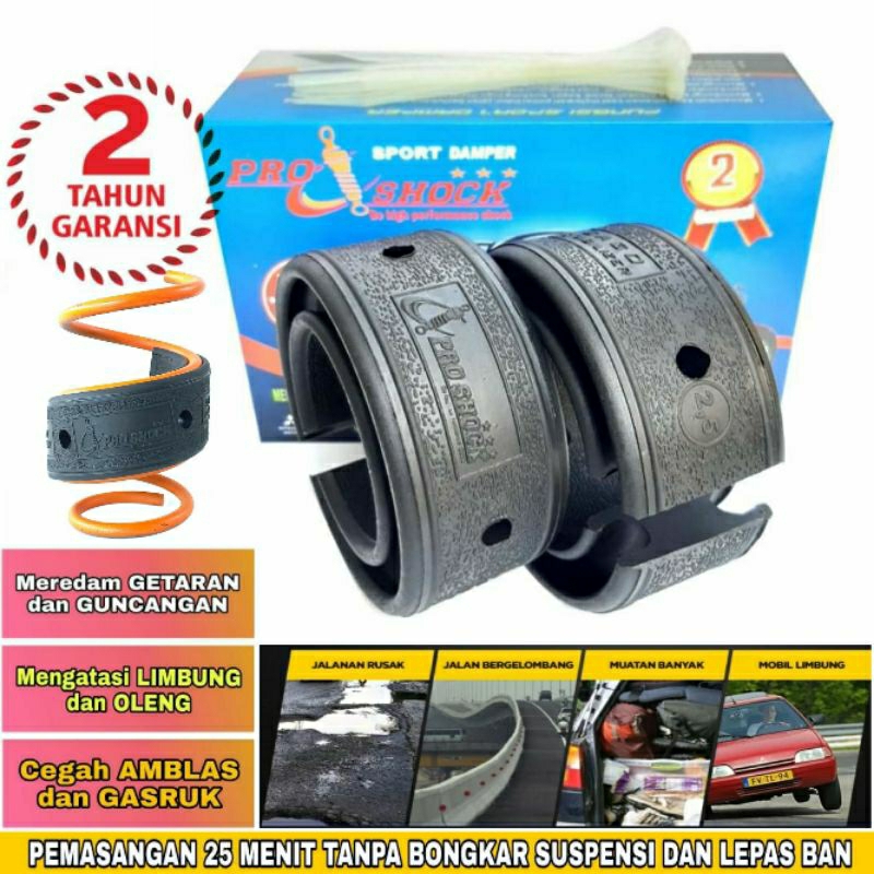Pro shock damper mobil